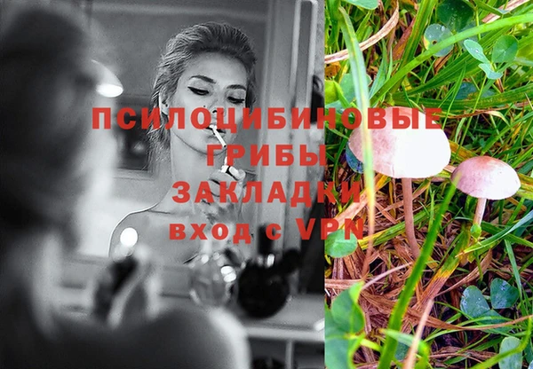 хмурый Абинск